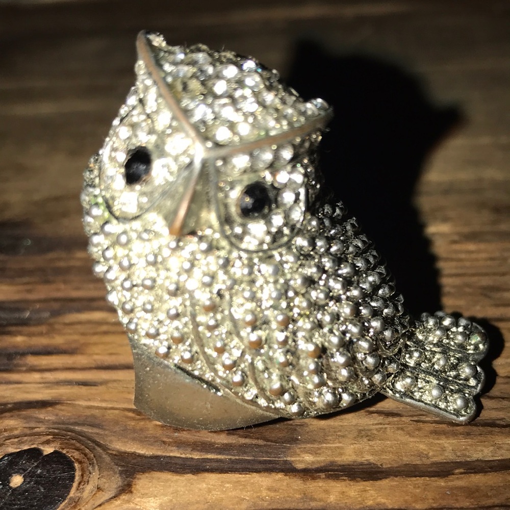 Owl Ring in Silver with Black Eyes